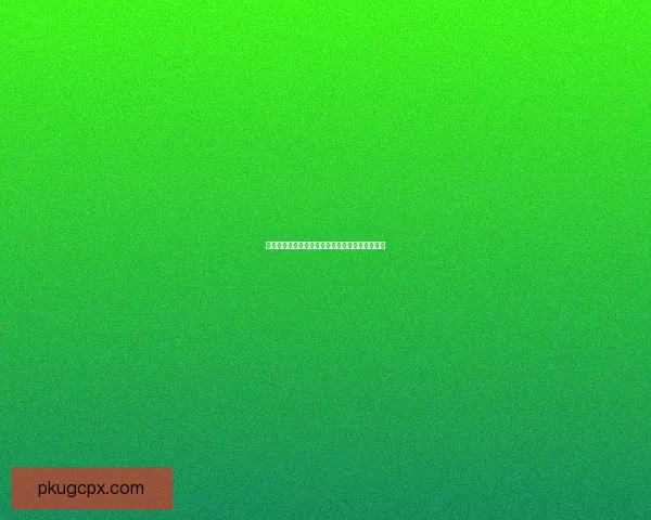 九阴真经明玉功：探秘神秘内功的传承与运用技巧